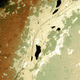 Image for article titled Can you tell satellite images from microscopic pictures? Test yourself